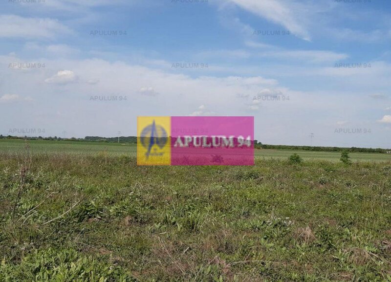 Teren aproape de Bucuresti langa padure