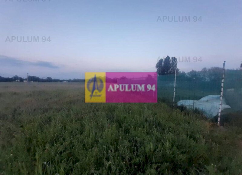 Teren aproape de Bucuresti langa padure